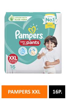 Pampers Xxl16 Pants